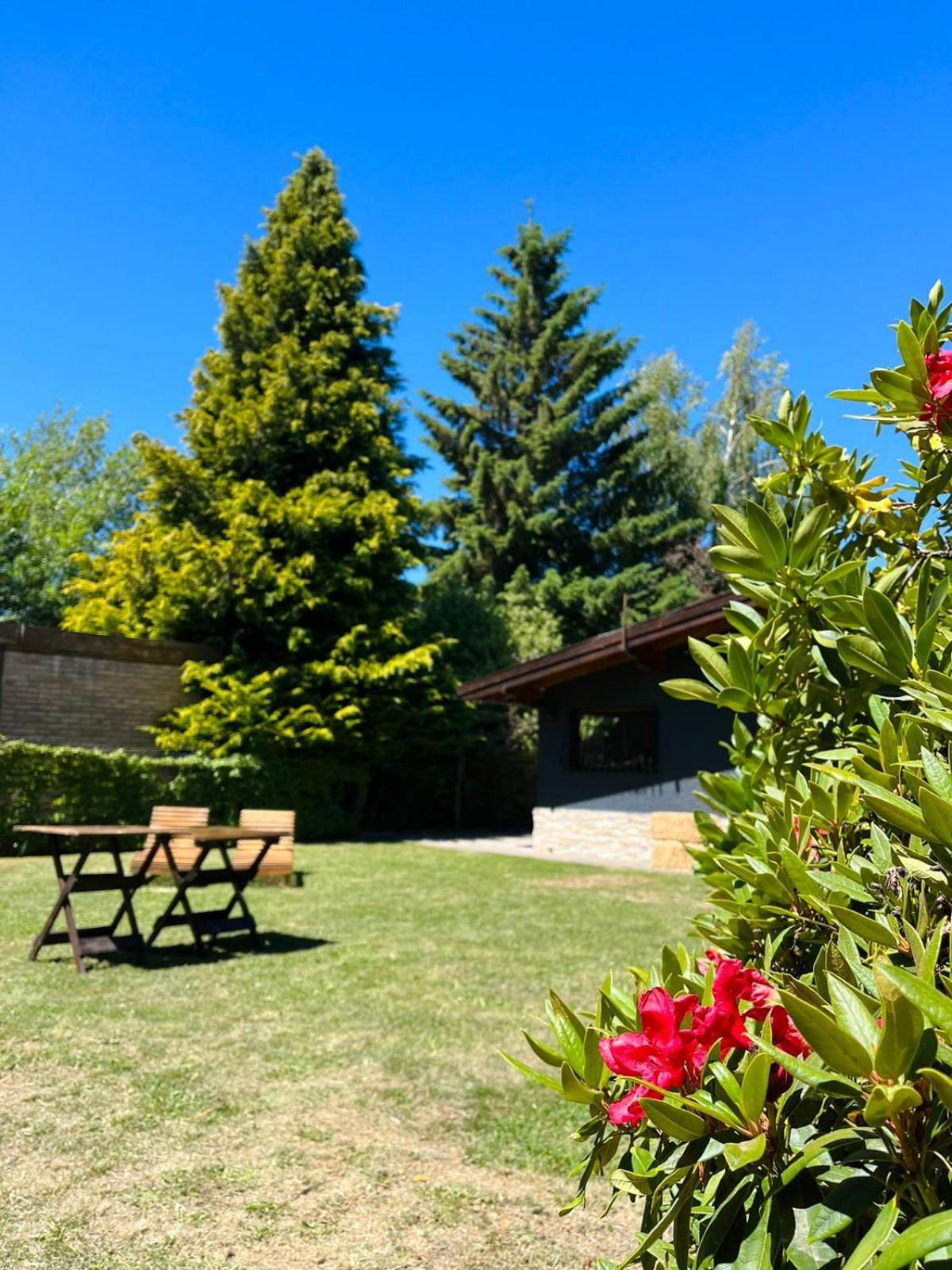 Las Vinas Hostel Boutique San Carlos de Bariloche Eksteriør billede